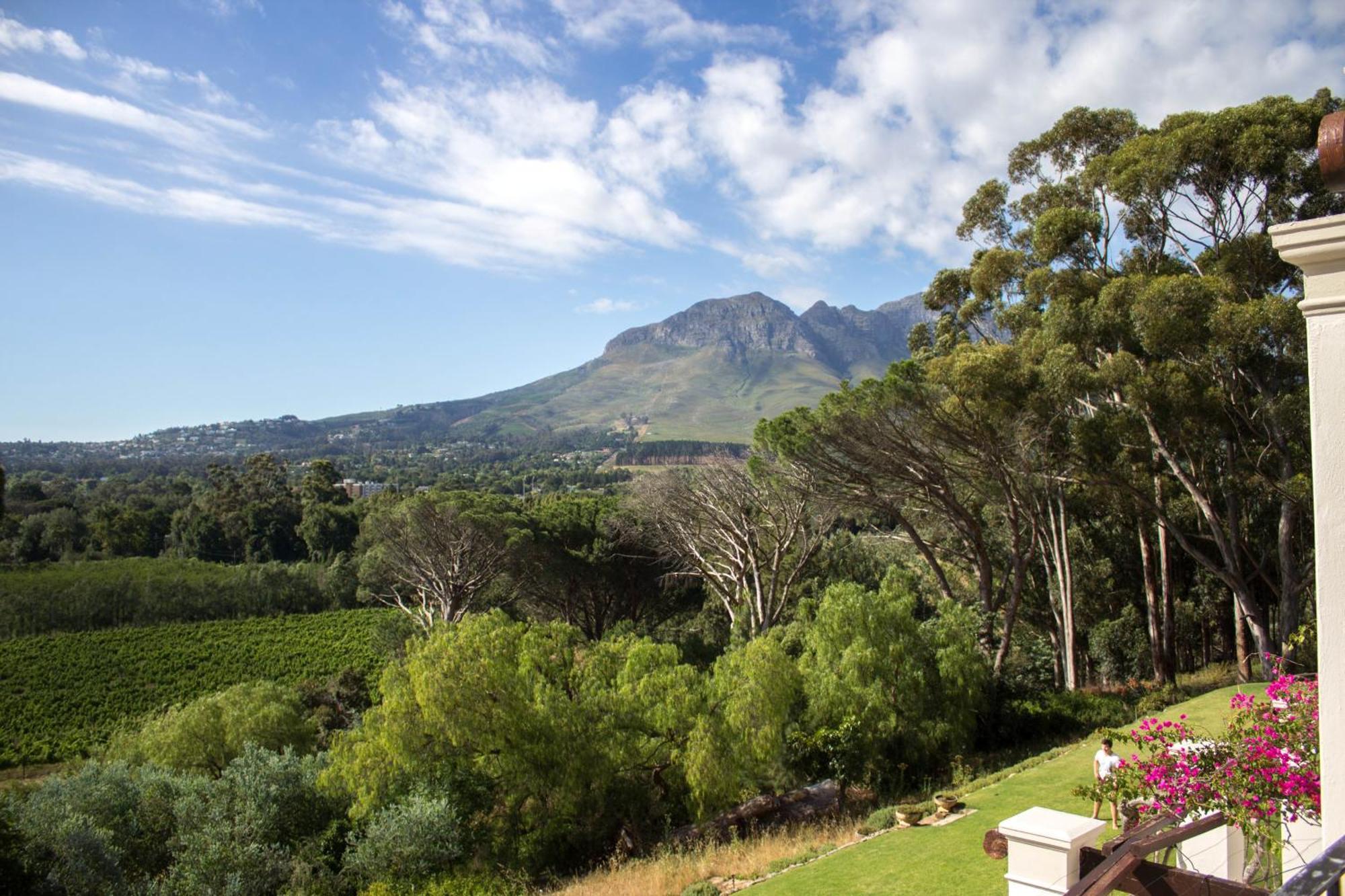 Morton Manor Hotel Somerset West Room photo